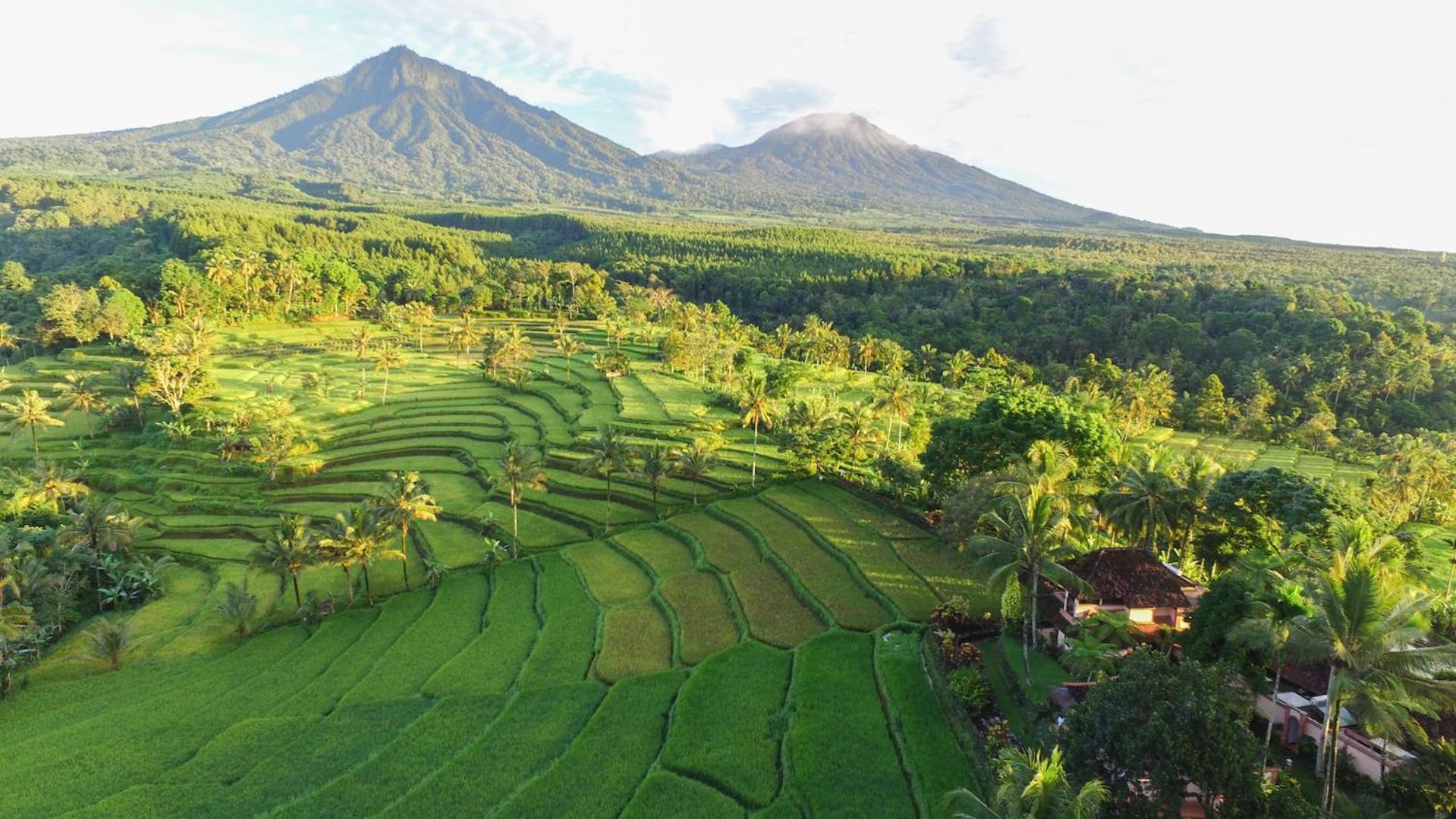Ijen Resort&Villas Banyuwangi  Eksteriør bilde