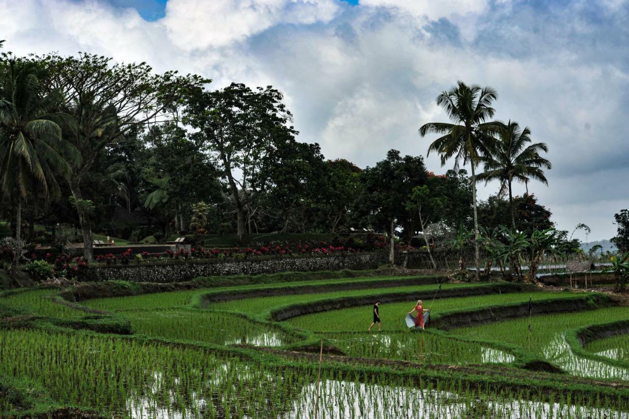 Ijen Resort&Villas Banyuwangi  Eksteriør bilde